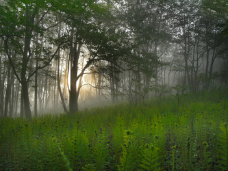 Similar image 1343181