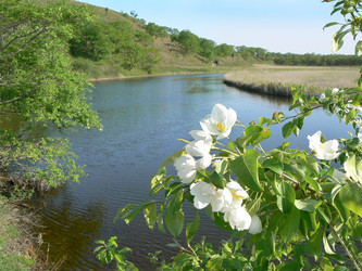 Similar image 1343182