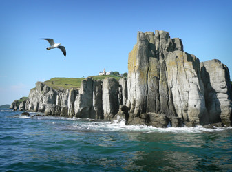 Similar image 1343185