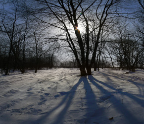 Similar image 1343189