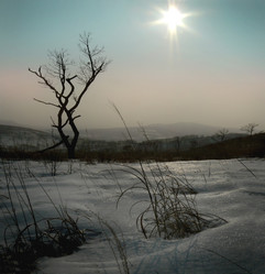 Similar image 1343191