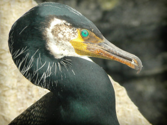 Similar image 1343194