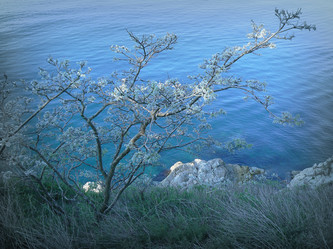 Similar image 1343195