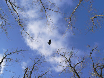 Similar image 1343208