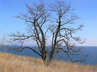 Similar image 1343210