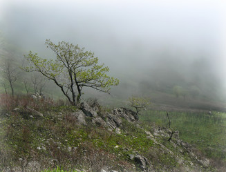 Similar image 1343211