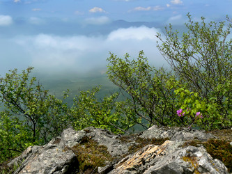 Similar image 1343212