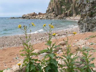 Similar image 1343218