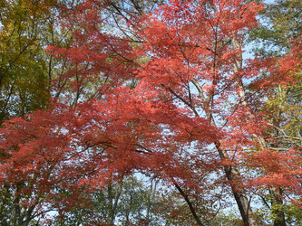 Similar image 1343219