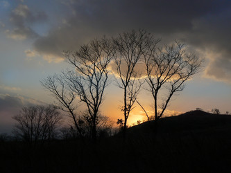 Similar image 1343221