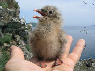 Similar image 1343241