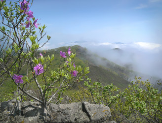 Similar image 1343242