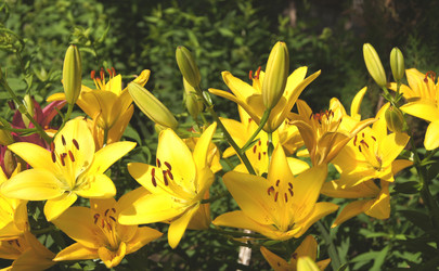 Similar image 1343277