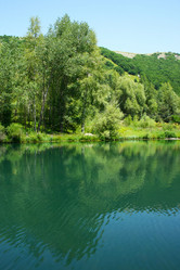 Similar image 1343338