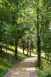 Similar image 1343536