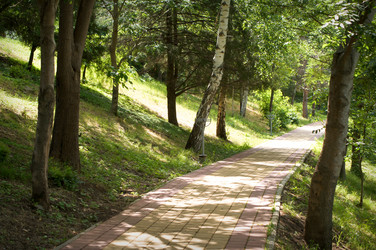 Similar image 1343537