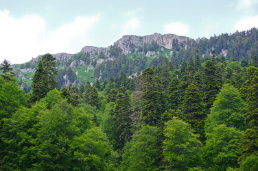 Similar image 1343538