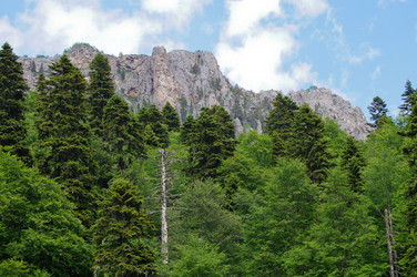 Similar image 1343539