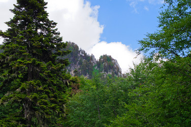 Similar image 1343540