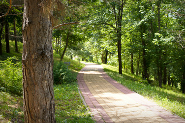 Similar image 1343541