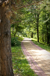 Similar image 1343542