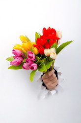 Similar image 1343614