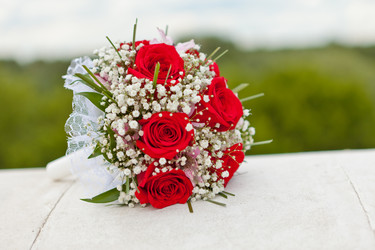 Similar image 1343628