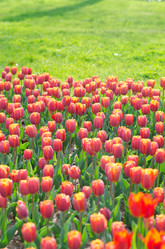 Similar image 1343685