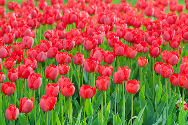 Similar image 1343688