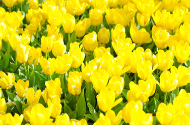 Similar image 1343689