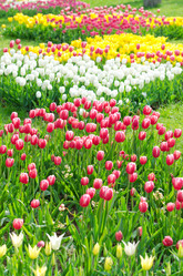 Similar image 1343690