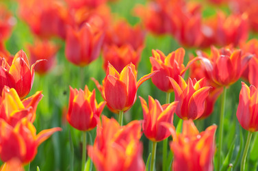 Similar image 1343695