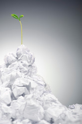 Similar image 1343749