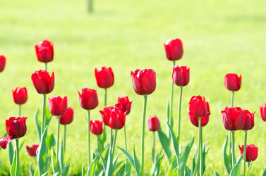 Similar image 1343786