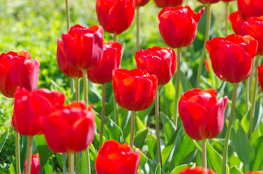 Similar image 1343788