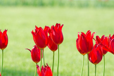 Similar image 1343794