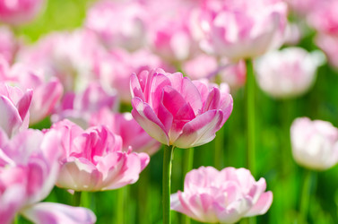 Similar image 1343797