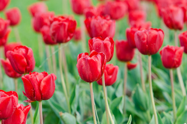 Similar image 1343798