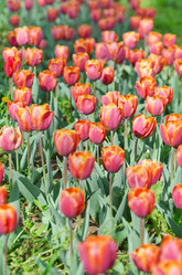 Similar image 1343799