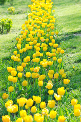 Similar image 1343800