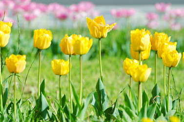 Similar image 1343802