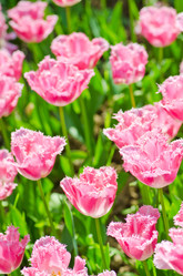 Similar image 1343814