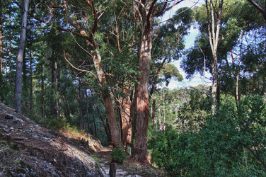 Similar image 1343864