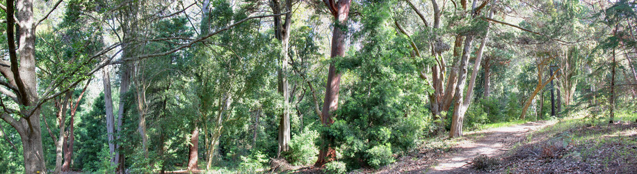 Similar image 1343880