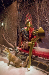 Similar image 1343876