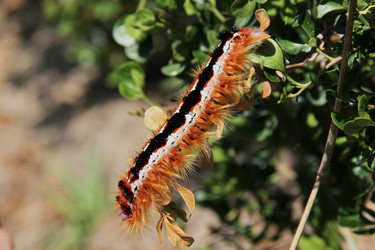 Similar image 1343879