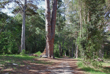 Similar image 1343881