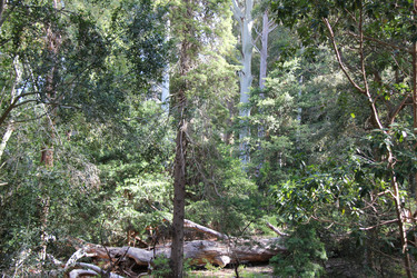 Similar image 1343883