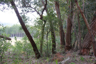 Similar image 1343882