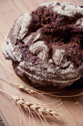 Similar image 1343944